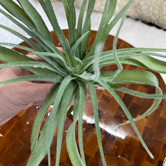 Lot of 4, Faux succulent florals, green and peach - Picture 3 of 7